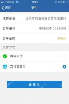 交管12123支付方式中选择微信支付