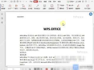 PDF如何文档中插入下划线？设置效果