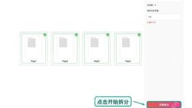 拆分PDF开始拆分