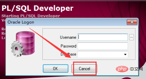 PLSQL을 사용하여 Oracle 데이터베이스에 연결하는 방법은 무엇입니까?