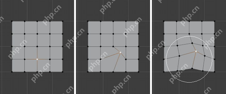 Blender 5.2 Proportional Editing 模式示例显示开启比例编辑后的影响关系