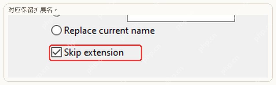 Insert 规则显示 Skip extension 选项。