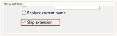 Insert 规则显示 Skip extension 选项。