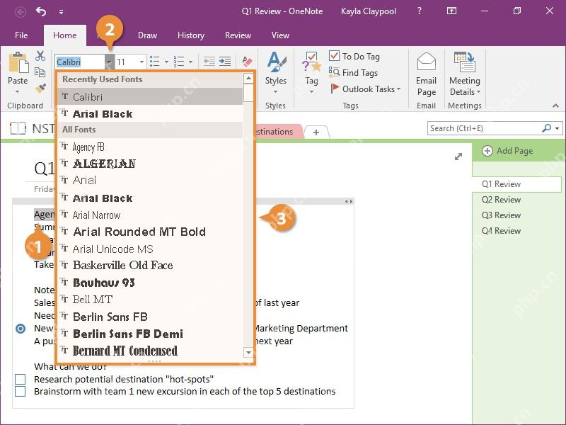 OneNote 页面中选中文字并打开字体下拉菜单,用来准备修改字体