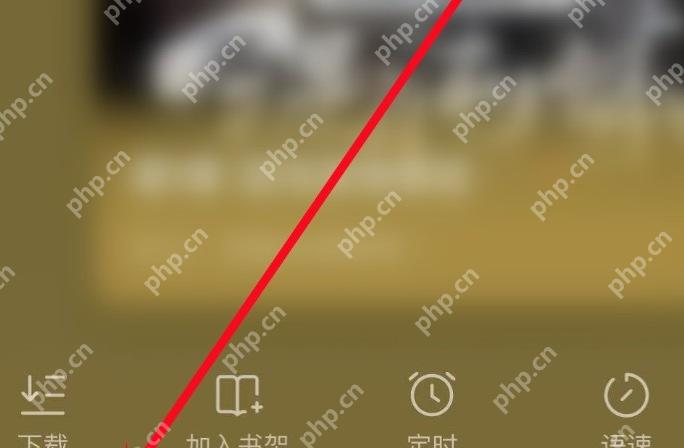 番茄免费小说听书播放器定时按钮