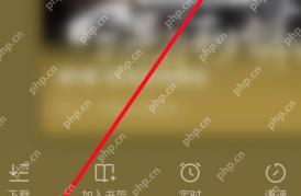 番茄免费小说听书播放器定时按钮