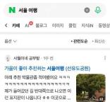 Naver Cafe搜索分类及公开讨论摘要