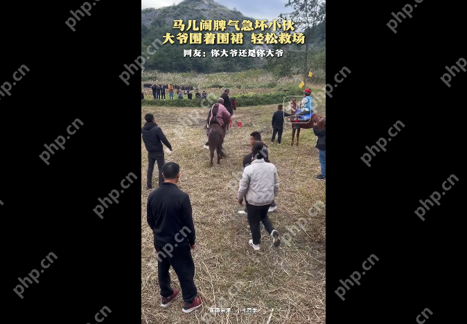 马儿闹脾气被围裙大爷轻松驯服 网友:你大爷还是你大爷 - php中文网