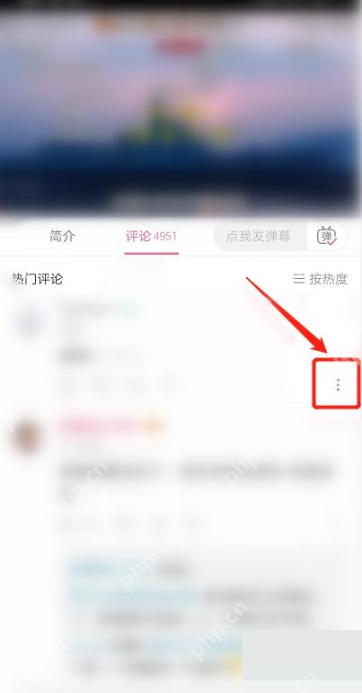 哔哩哔哩评论右侧更多按钮