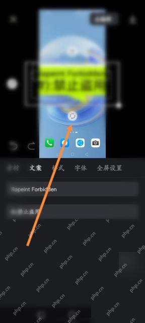 醒图水印编辑页面文字水印