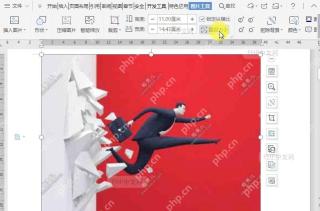 如何重设文档图片大小？设置效果