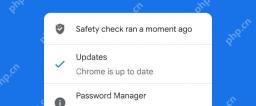 Chrome 安全检查完成界面