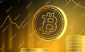 常见数字货币有哪些种类 - php中文网