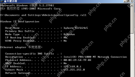 Windows 命令提示符执行 ipconfig all 查看当前网络信息