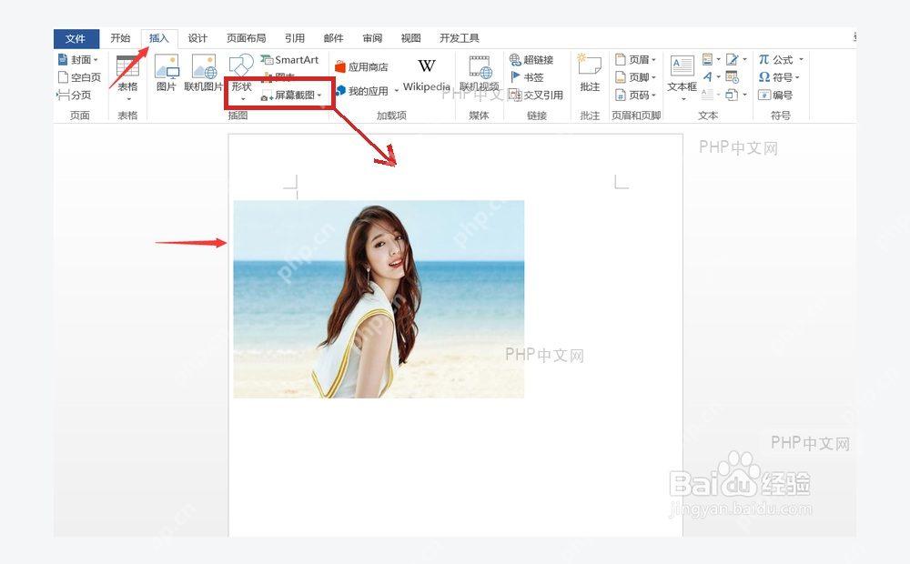 Word 插入选项卡中的图片按钮,服务于插入图片步骤