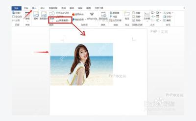 Word 插入选项卡中的图片按钮,服务于插入图片步骤