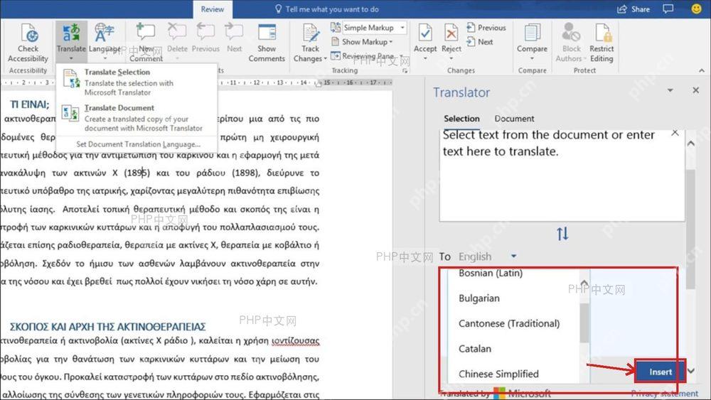 Word Translator 翻译窗格中译文区域和 Insert 按钮被标出,服务于插入中文译文步骤