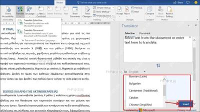 Word Translator 翻译窗格中译文区域和 Insert 按钮被标出，服务于插入中文译文步骤