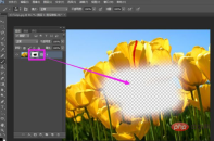 1566782214980587.png How to use brush to erase PS mask