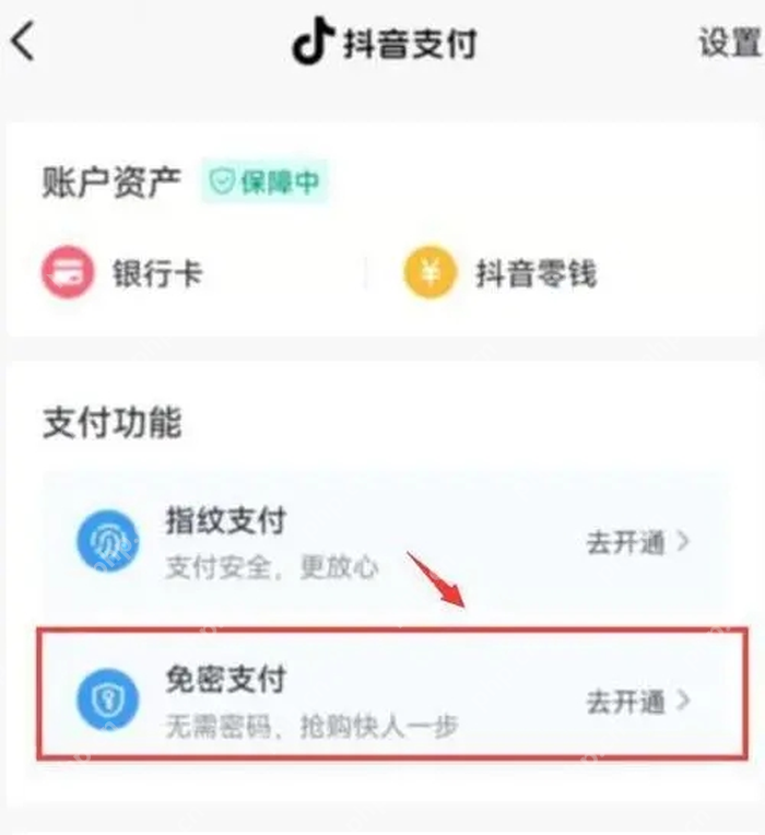 抖音支付功能中的免密支付状态