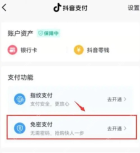 抖音支付功能中的免密支付状态