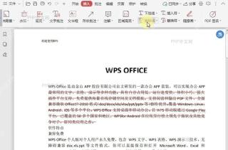 PDF如何文档中插入删除线？结果检查