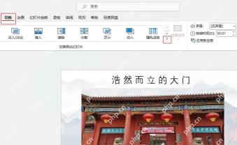 PPT切换选项卡中检查切换数量与附加参数