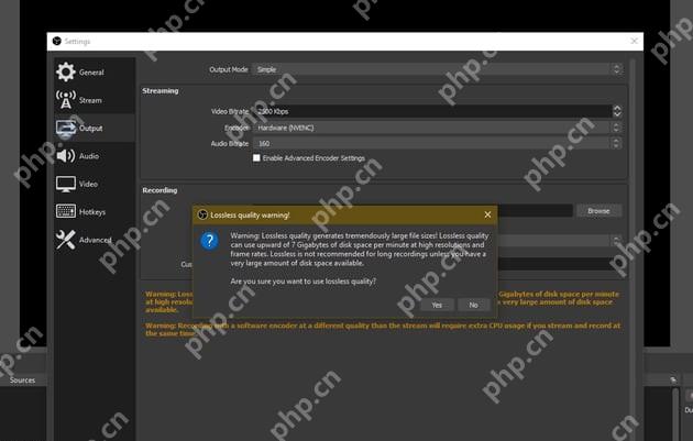 OBS Studio Output 简单模式 Recording Quality 显示 Lossless Quality Tremendously Large File Size