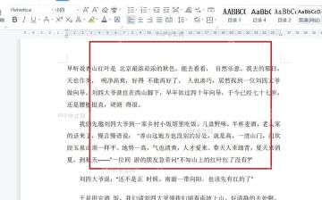 WPS文字文档中含有多个空格的正文区域被标出