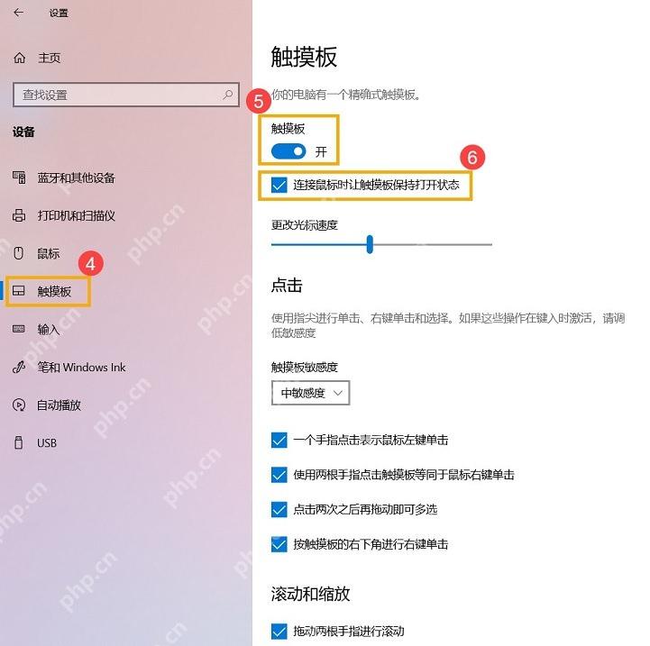 Win10 触摸板设置中显示点击手势复选项