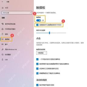 Win10 触摸板设置中显示点击手势复选项