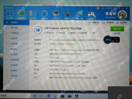 Windows 中文鲁大师磁盘参数页显示硬盘型号 接口和容量信息,证明判断固态速度是否正常时还要先核对盘体规格