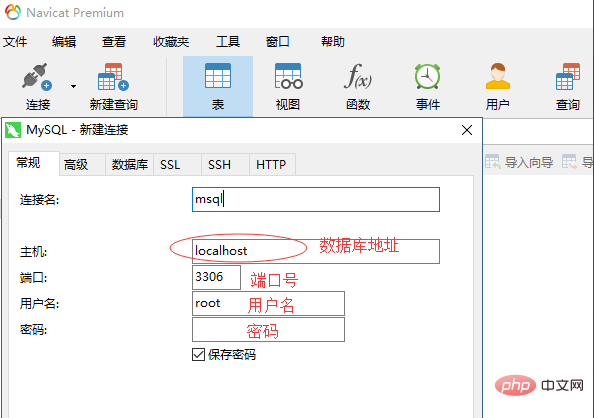 Navicatの設定方法