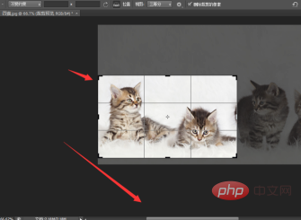 How to capture part of an image in PS?