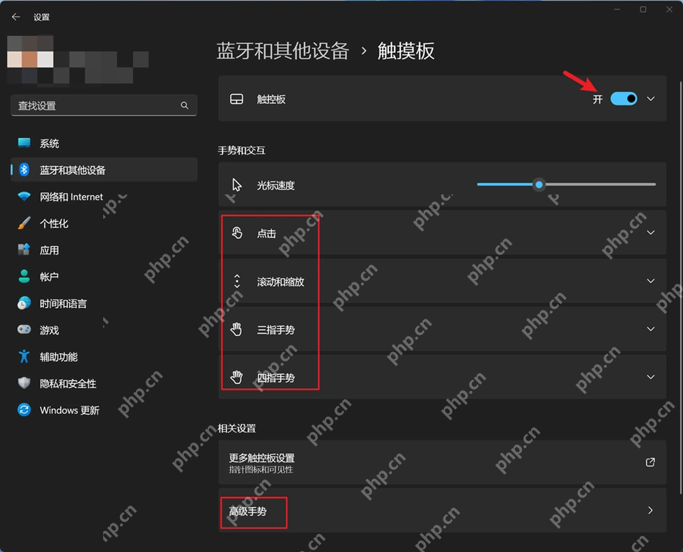 Win11 设置蓝牙和设备中打开触摸板页面