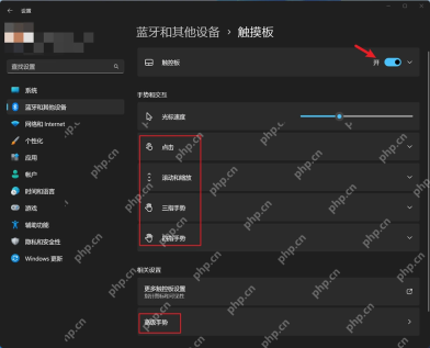 Win11 设置蓝牙和设备中打开触摸板页面