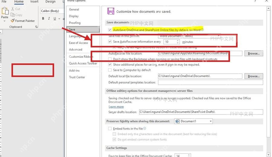 Word 选项的保存页面中显示自动保存和 OneDrive 相关设置