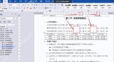 Word 多列文字按制表位对齐后的效果