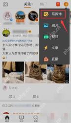 微博发布菜单里的写微博入口