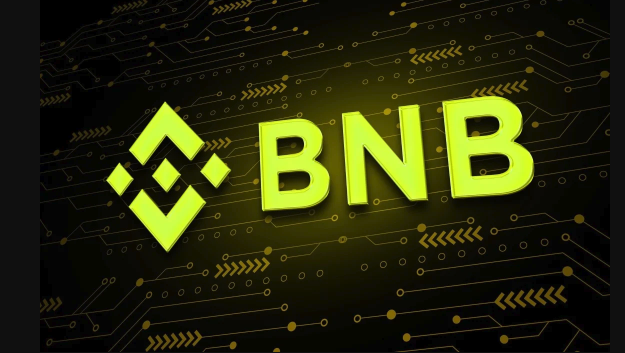 币安币属于什么类型代币?谁主导发行?算主流币吗? - php中文网