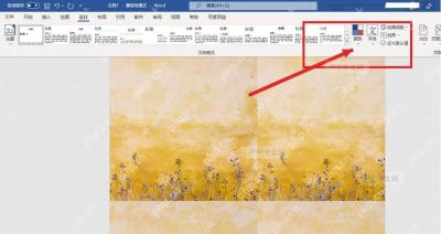 Word 文档页面已经应用图片背景并保留设计选项卡界面