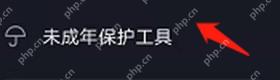 抖音极速版菜单中的未成年保护工具入口,证明需要点击该选项