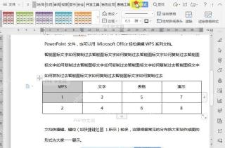 WPS如何给文档表格绘制斜线表头?中间操作