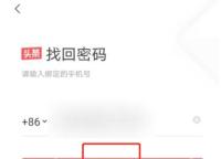 今日头条找回密码手机号验证页面