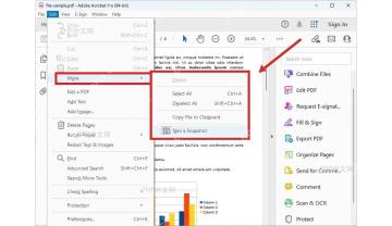 Adobe Acrobat 的 Edit 菜单中展开 More 并选中 Take a Snapshot,用于第一步打开 PDF 截图工具