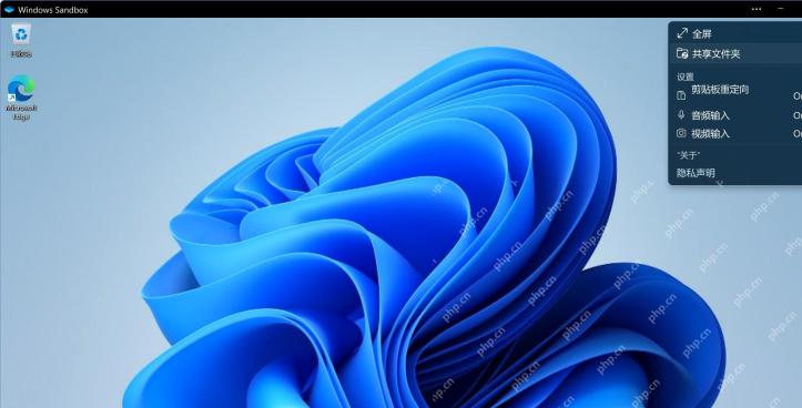 Win11 Windows 沙盒窗口更多菜单显示共享文件夹和重定向开关