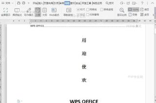 在文档大纲视图中如何显示所有文字内容的格式?入口位置