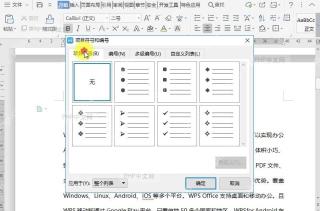 如何自定义文档项目符号？中间操作