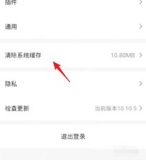 爱奇艺设置页面用红箭头标出清除系统缓存入口，证明开始清理临时文件的操作