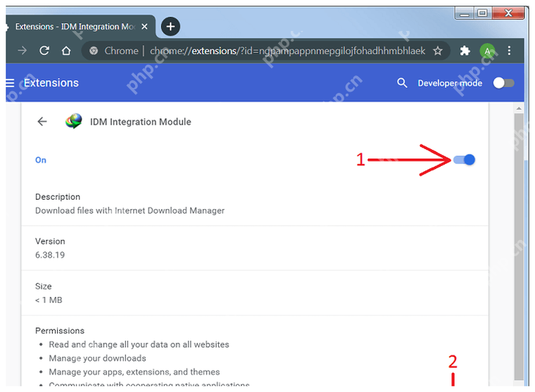 Chrome 中 IDM Integration Module 已启用并允许在所有站点使用。